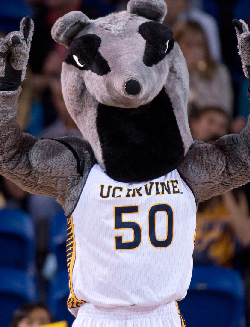 Peter the Anteater at sports event